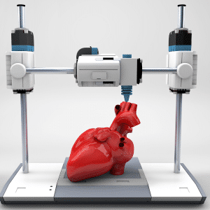 Modelo Anatomico Medico impresión 3D Calí Colombia